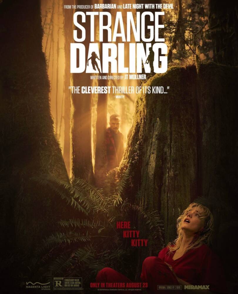 strange darling poster