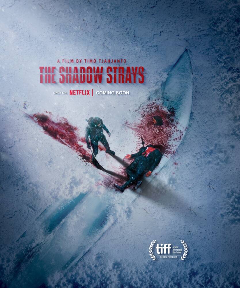 the shadow strays poster