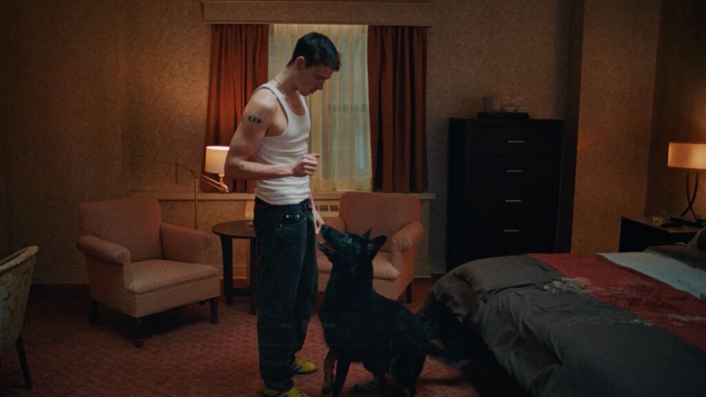 Homem treinando cachorro em quarto de hotel.