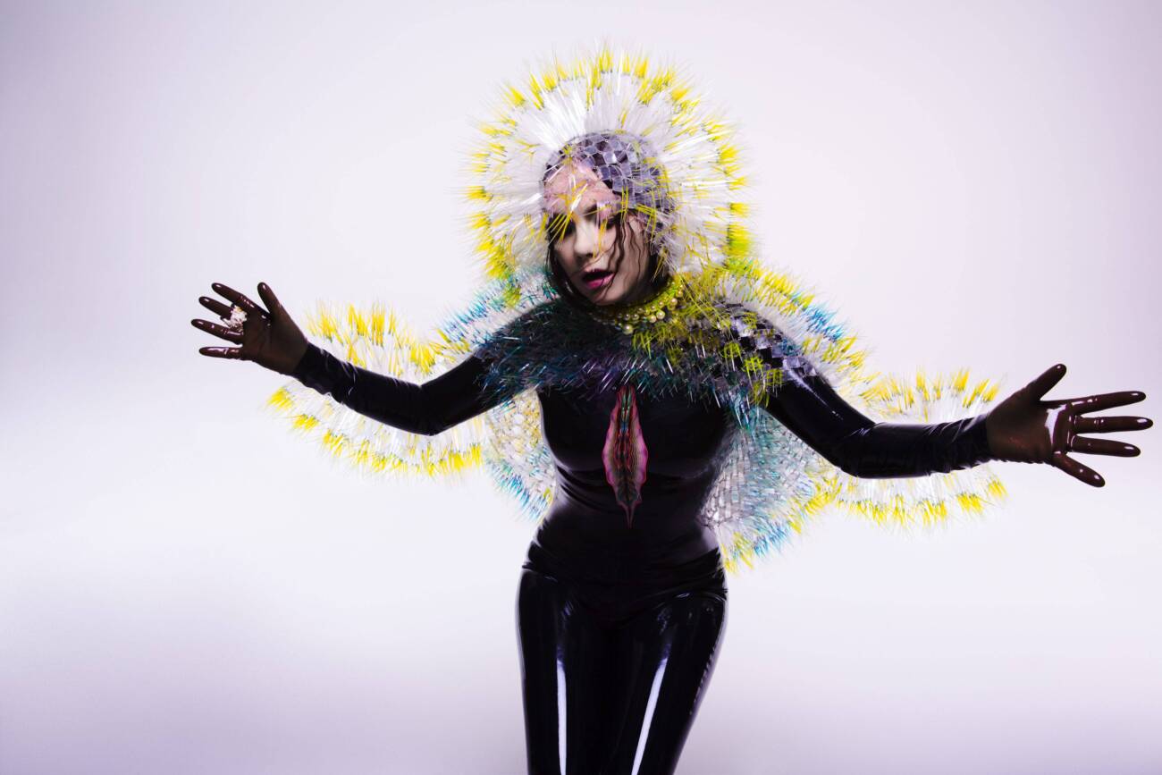 vulnicura björk