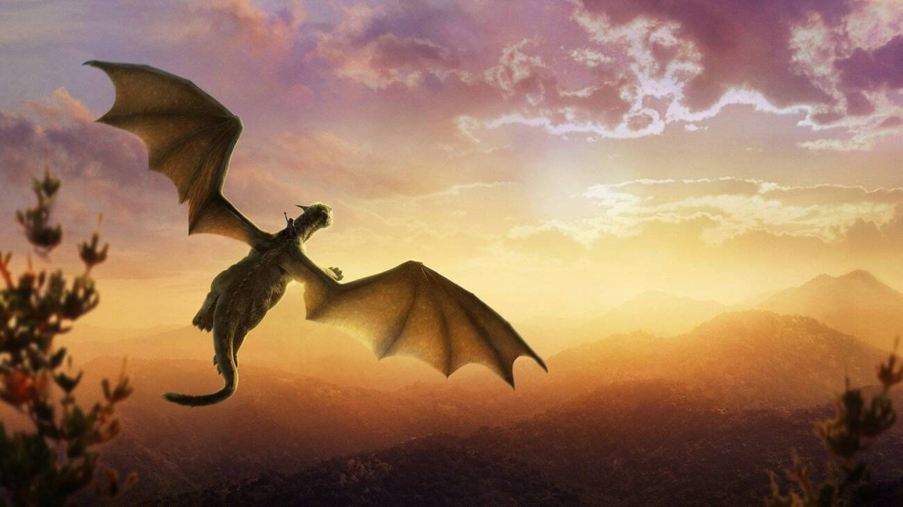 meu amigo o dragao